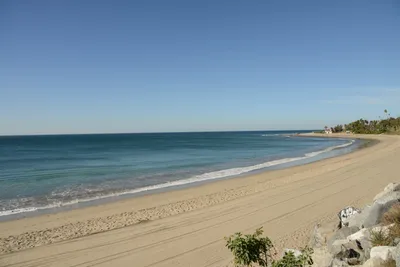 DSC_1445 (Large).JPG